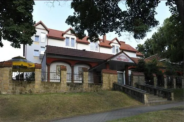 Guest house Przy Milej 3*
