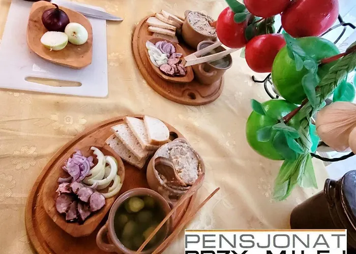 Guest house Przy Milej