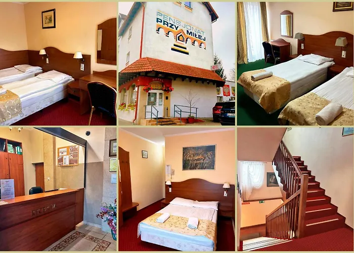 Guest house Przy Milej